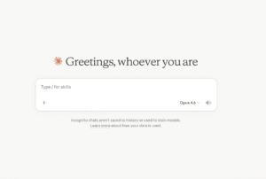 claude incognito ai chat