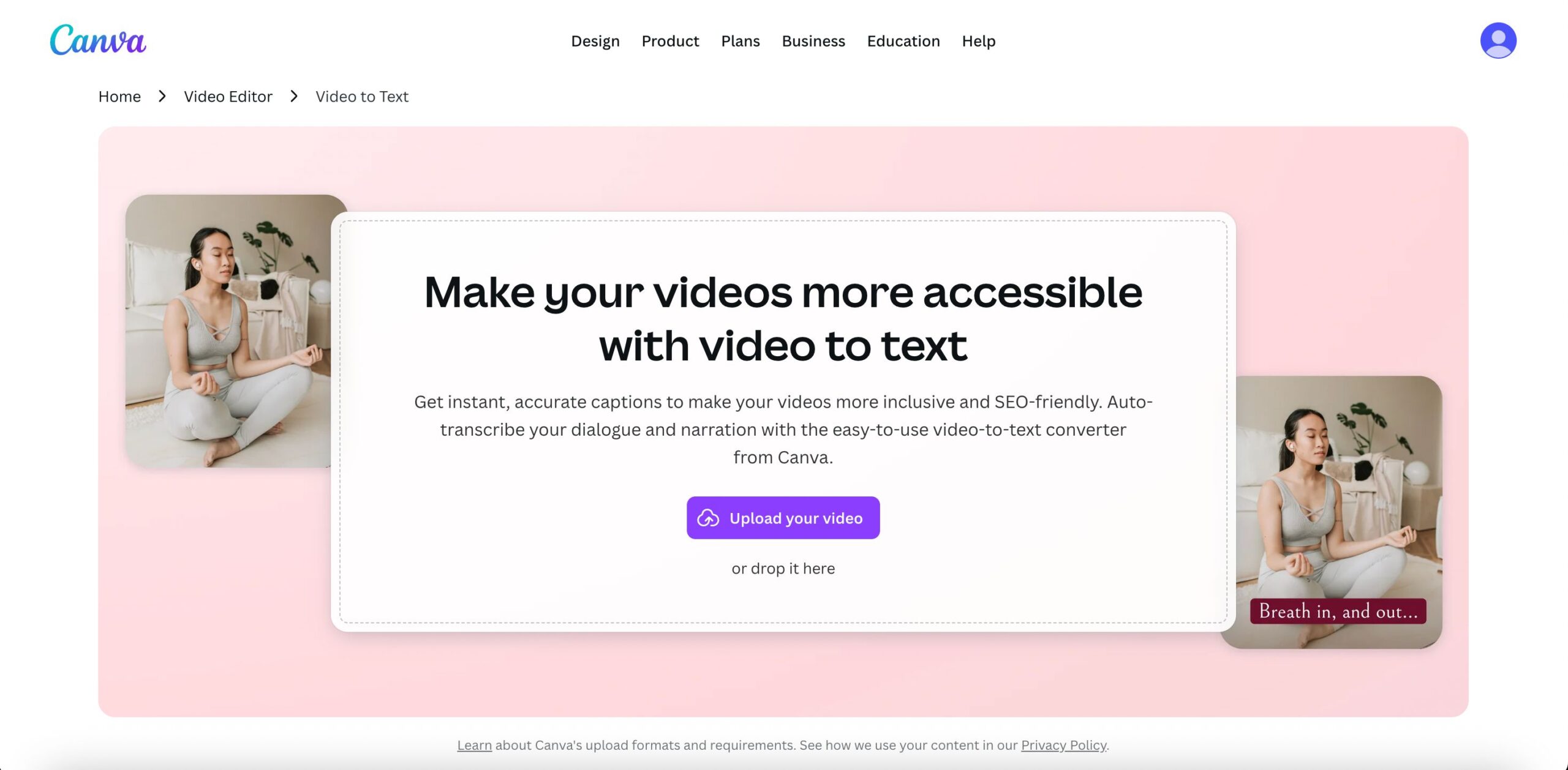 screenshot of canva